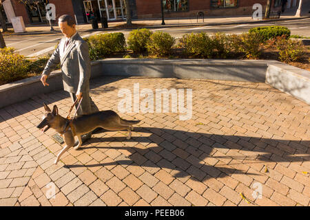 Statuen auf dem Grün in Morristown NJ Stockfoto