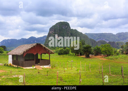 Viñales Tal Panorama, Blick auf üppigen grünen Landschaft des beliebten ländlichen touristischen Reiseziel, Provinz Pinar del Rio, Kuba Stockfoto