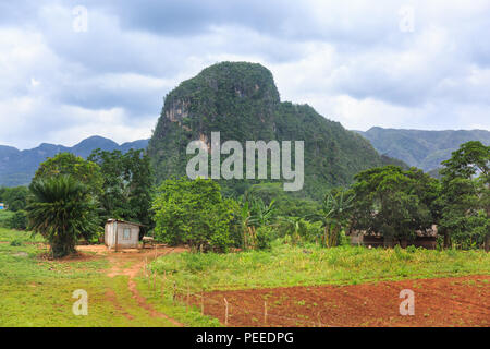 Viñales Tal Panorama, Blick auf üppigen grünen Landschaft des beliebten ländlichen touristischen Reiseziel, Provinz Pinar del Rio, Kuba Stockfoto