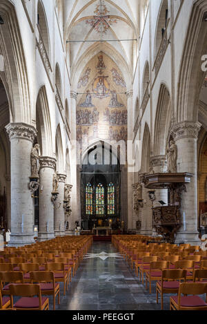 Stiftskirche St. Walburga/Sint-Walburgakerk in der Stadt Oudenaarde, Ostflandern, Belgien Stockfoto