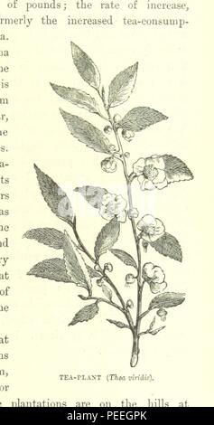 Bild von Seite 253' [die Länder der Welt ist ein beliebtes Beschreibung der verschiedenen Kontinente, Inseln, Flüsse, Meere, und Völker der Welt. [Mit Platten.]]' Stockfoto