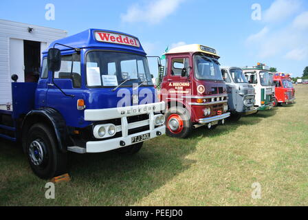 Eine Linie der klassischen Lkws bis geparkt auf Anzeige an Torbay Steam Fair, Churston, Devon, England, Stockfoto