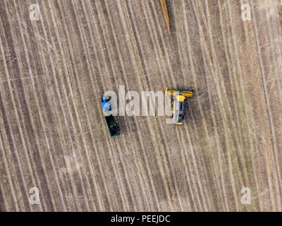 Mähdrescher und Schlepper und Anhänger in einem Feld von oben mit Drone Stockfoto