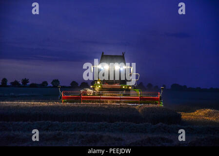 Ein Mähdrescher ernten ein Feld von Mais als die Sonne untergeht, Scheinwerfer auf. Stockfoto