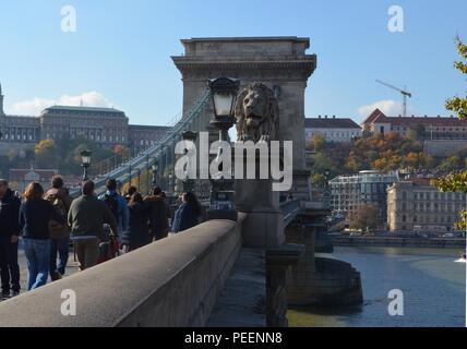 Neoklassizistisches Lamp Post Design und János Marschalkó lion's Statue auf Kettenbrücke in Budapest, Ungarn, im Jahre 1849 erbaut, entworfen von William Tierney Clark Stockfoto