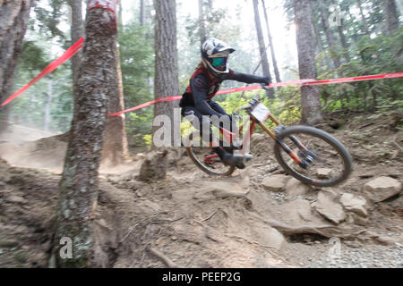 Kris Kovarik (AUS) Racing die In tiefen Spur am Crankworx Garbanzo DH Event, Whistler, BC, Kanada. Kovarik wurde Fuenfter. August 14, 2018. Stockfoto