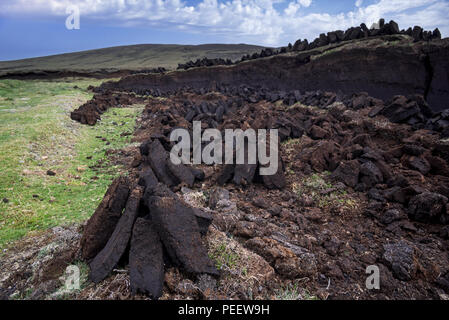 Torfabbau im Moor- und Heidelandschaft, die Pfähle der geernteten Torf Trocknen als traditionelle Kraftstoff verwendet werden, Shetlandinseln, Schottland, Großbritannien Stockfoto