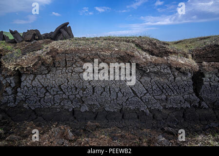 Querschnitt der Moorlandschaften, verfallenen Vegetation/Moos und Stapel von Geernteten Torf Trocknen als traditionelle Brennstoff, Shetlandinseln, Schottland, UK verwendet werden Stockfoto