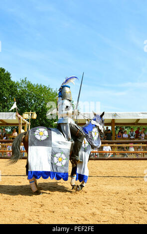 Krieg der Rosen reenactment an der Warwick Castle Stockfoto