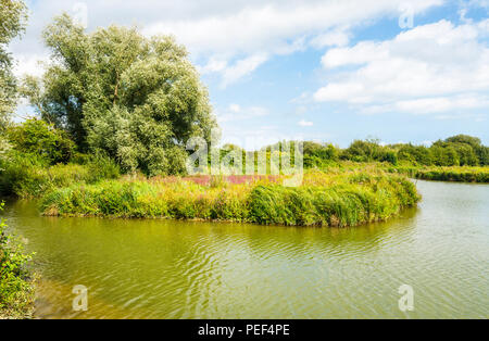 Blumige Lebensraum und hübsche ländliche Landschaft am Arundel Wildfowl & Wetlands Trust, West Sussex, UK im Sommer an einem sonnigen Tag Stockfoto