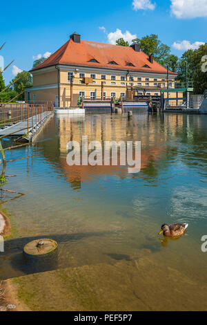 Wehr an der Isar, München, Oberbayern, Bayern, Deutschland Stockfoto