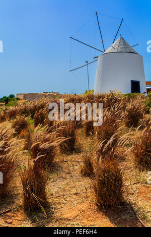 Weizenfeld mit einer Mühle an zurück in Castro Marim Dorf in Algarve Portugal. Stockfoto