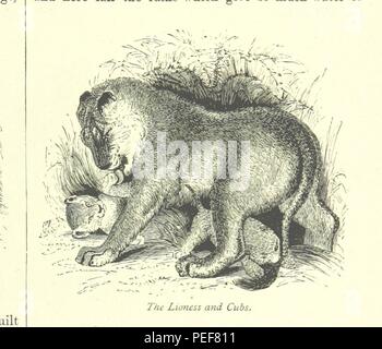 Bild von Seite 83 der "bildhaften Geographie für junge Anfänger genommen. ... Mit... illustrative Gravuren' Stockfoto