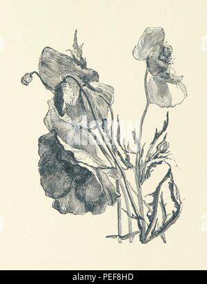 Bild von Seite 94 der "Fünf Bücher der Song genommen' Stockfoto