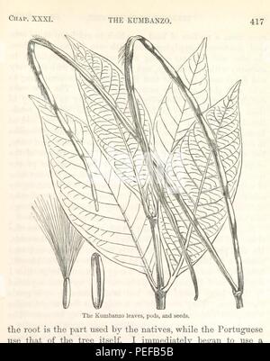 Bild von Seite 463 "Ein beliebtes Konto der missionarischen Reisen und Forschungen in Südafrika übernommen. [Eine gekürzte Ausgabe.] mit Karten und Abbildungen' Stockfoto
