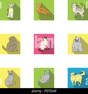 Kahl, Katze, Katzen, Brust, Sammlung, lockig, verschiedenen, Ohren, ägyptischen, böse, Fett, flach, gute, grau, Icon, Illustration, isoliert, Leopard, Logo, Hals, Objekt, eine, Bild, Satz, Zeichen, Sphinx, getupft, gestreift, Symbol, Schwanz, dünne, Vector, Web, weiß, Vektor, Vektoren, Stock Vektor