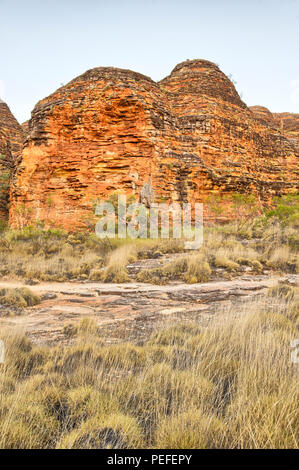 Bunte Bienenstöcke in den Bungle Bungles Nationalpark, Northern Territories, Australien Stockfoto