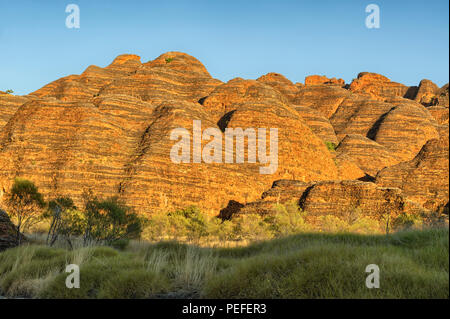 Bunte Bienenstöcke in den Bungle Bungles Nationalpark, Northern Territories, Australien Stockfoto