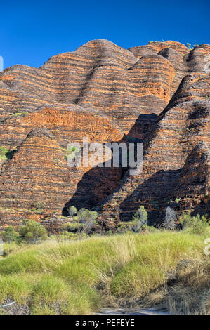 Bunte Bienenstöcke in den Bungle Bungles Nationalpark, Northern Territories, Australien Stockfoto