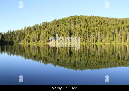 Bäume, Wolken und Himmel spiegelt sich auf eine ruhige Glas - wie Herzen See, Sündenbock Wüste, Rocky Mountains, Montana, USA Stockfoto