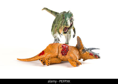 Vorderansicht mit einem tyrannosaurus Triceratops Körper in der Nähe auf weißem Hintergrund Stockfoto