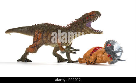 Carcharodontosaurus mit einem triceratops Körper in der Nähe auf weißem Hintergrund Stockfoto