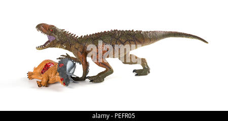 Carcharodontosaurus mit einem triceratops Körper in der Nähe auf weißem Hintergrund Stockfoto