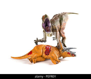 Vorderansicht Carcharodontosaurus mit einem triceratops Körper in der Nähe auf weißem Hintergrund Stockfoto