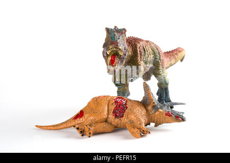 Vorderansicht mit einem tyrannosaurus Triceratops Körper in der Nähe auf weißem Hintergrund Stockfoto