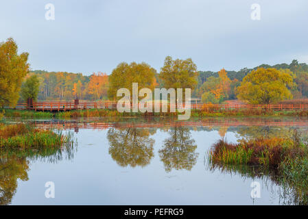 Schönen ruhigen Herbst See und farbige Bäume Stockfoto