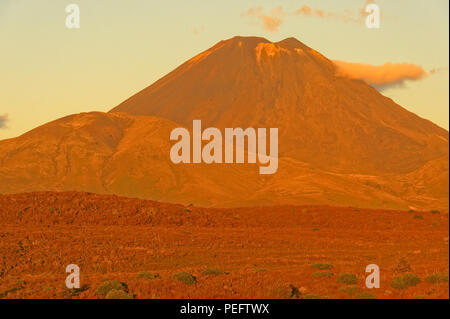 Sonnenuntergang auf Mt Ngauruhoe, Tongariro National Park, North Island, Neuseeland Stockfoto