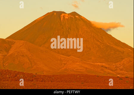 Sonnenuntergang auf Mt Ngauruhoe, Tongariro National Park, North Island, Neuseeland Stockfoto