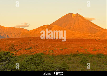 Sonnenuntergang auf Mt Ngauruhoe, Tongariro National Park, North Island, Neuseeland Stockfoto