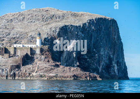 Bass Rock, Firth of Forth, Schottland Stockfoto