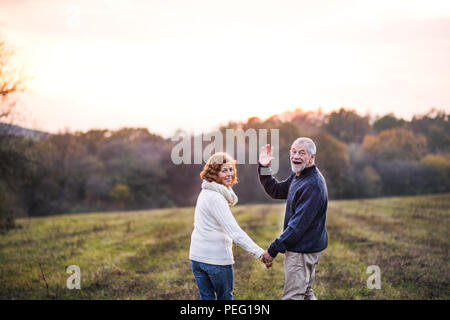 Senior Paar in einem Herbst Natur, halten sich an den Händen. Stockfoto