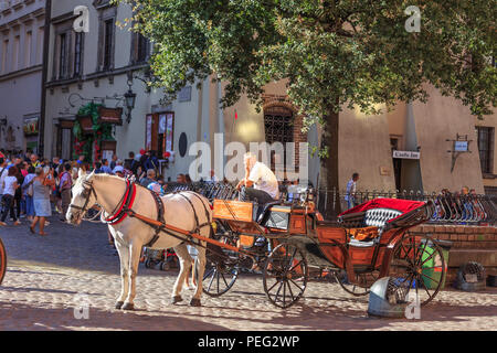 In Warschau, der Hauptstadt Polens. Eine Pferdekutsche erwartet Touristen auf Royal Castle Square für eine Fahrt rund um die Altstadt zu nehmen Stockfoto