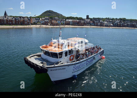 North Berwick, East Lothian, Schottland Stockfoto