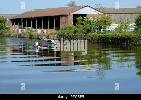 Mädchen Rudern auf dem Gloucester und Schärfe Canal in der Nähe von Gloucester Stockfoto