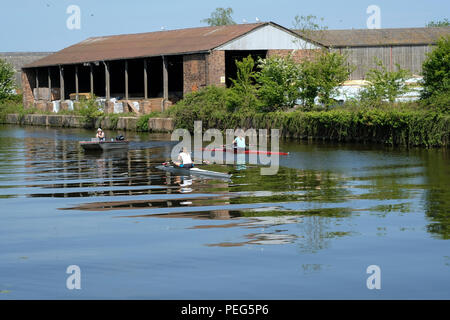 Mädchen Rudern auf dem Gloucester und Schärfe Canal in der Nähe von Gloucester Stockfoto