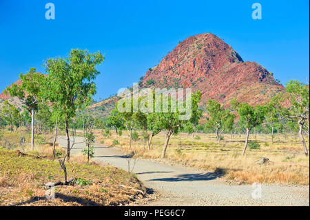 Der Weg zur Bungle Bungles/Purnululu National Park, Western Australia, Australien Stockfoto