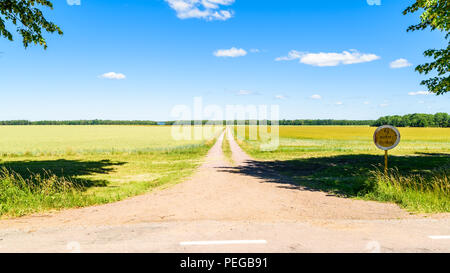 Sommer Landschaft mit einem Feldweg durch Ackerland in Richtung Wald am Horizont. Lage in der Nähe der See Takern in Schweden. Stockfoto