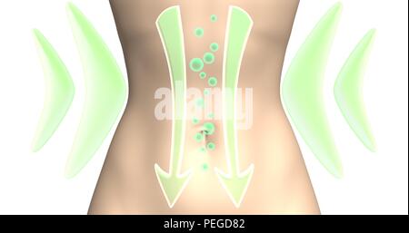 Verdauungsfunktionen. Probiotika oder Diät gewichtsreduktion Wirkung. Entfernung von Gasen aus dem Darm. 3D-Rendering auf Weiß isoliert. Stockfoto