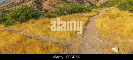 Gelbe Gras und Stromleitungen in Provo Canyon an einem sonnigen Tag bei Sonnenuntergang und Blick auf den Squaw Peak. Stockfoto