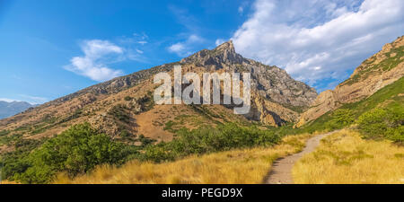 Gelbe Gras und Stromleitungen in Provo Canyon an einem sonnigen Tag bei Sonnenuntergang und Blick auf den Squaw Peak. Stockfoto