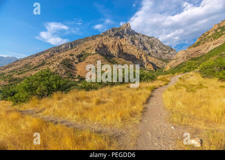 Gelbe Gras und Stromleitungen in Provo Canyon an einem sonnigen Tag bei Sonnenuntergang und Blick auf den Squaw Peak. Stockfoto