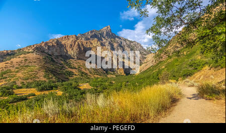 Gelbe Gras in Provo Canyon an einem sonnigen Tag bei Sonnenuntergang und Blick auf den Squaw Peak. Stockfoto