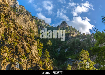 Blick auf die Berge und die Bäume in Provo Canyon. Die malerische Pinien von Rock Canyon Trail in der Nähe von Sunset mit puffy Clouds. Stockfoto