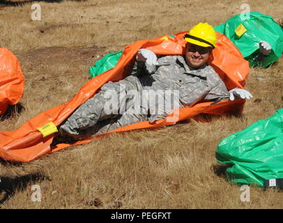 Soldaten aus dem 17 Field Artillery Brigade wird mobilisieren zu dienen als Feuerwehrleute, die den Nationalen Interagency Fire Center (Nifc) unterstützen. Sie waren ausgestellt Personal Protective Equipment (PPE) an gemeinsamen Base Lewis-McChord, 12.08.19. Soldaten sind Training mit wilde Land brand Agentur Personal einschließlich das Büro des Land-Managements Vegas Valley Crew besteht ausschließlich aus militärischen Veteranen. Sie lernen über Feuer Terminologie, Brandverhalten und Feuer-line Safety. Stockfoto