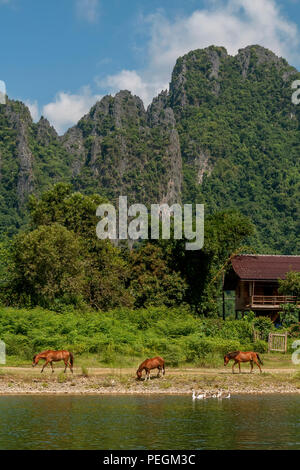 Schöne ländliche Landschaft mit Pferden und Enten am Ufer des Nam Song Fluss in der Nähe von Vang Vieng, Laos Stockfoto