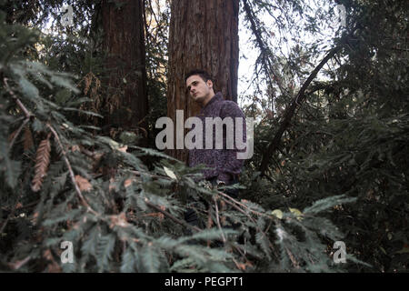 Jungen gutaussehenden Mann lehnte sich an einem Baum im Wald nachdenklich. Stockfoto